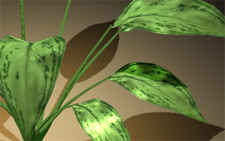 Screenshot des txfviewer, der eine kleine Pflanze anzeigt